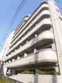 中村橋 マンションの物件詳細
